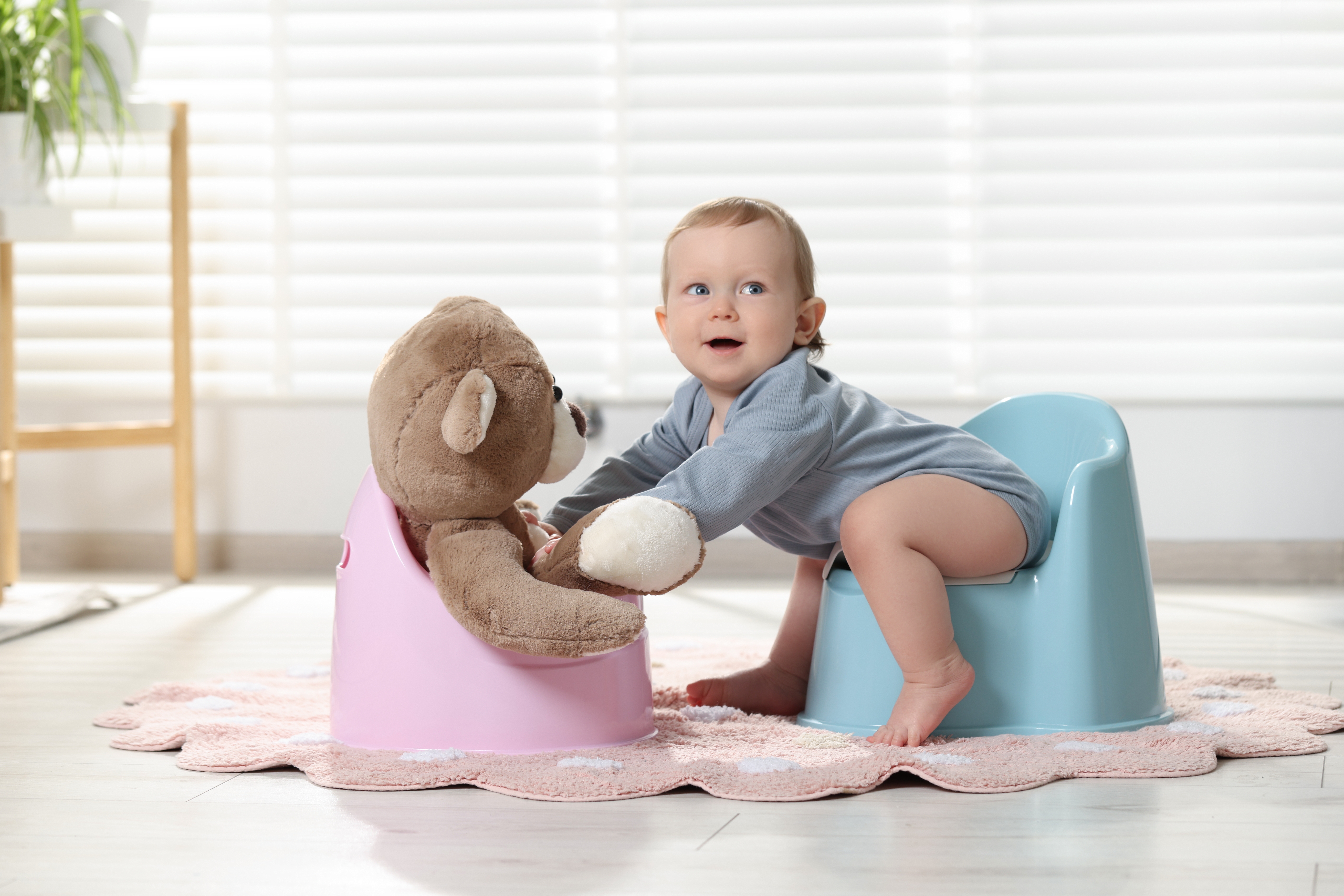 Toddler sitting on a potty holding a teddy bear